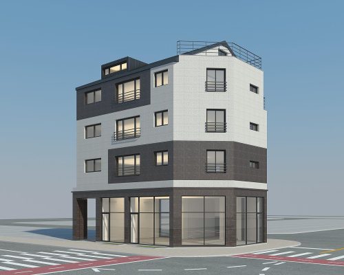 고덕동 2511-6 근린생활주택 신축공사